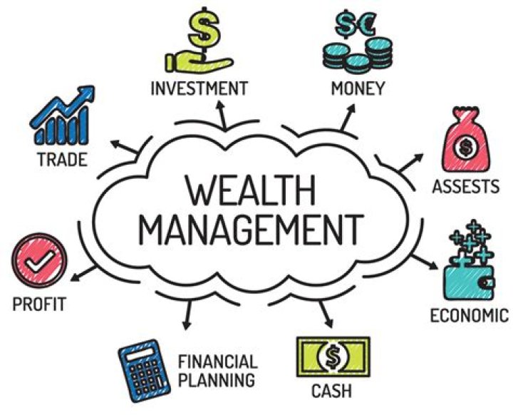 What is wealth in financial management?
