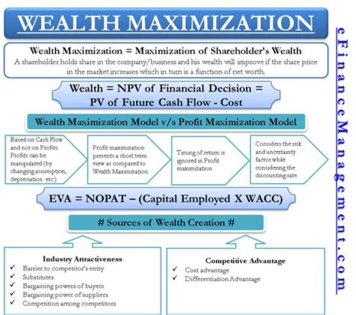 What is wealth maximization?