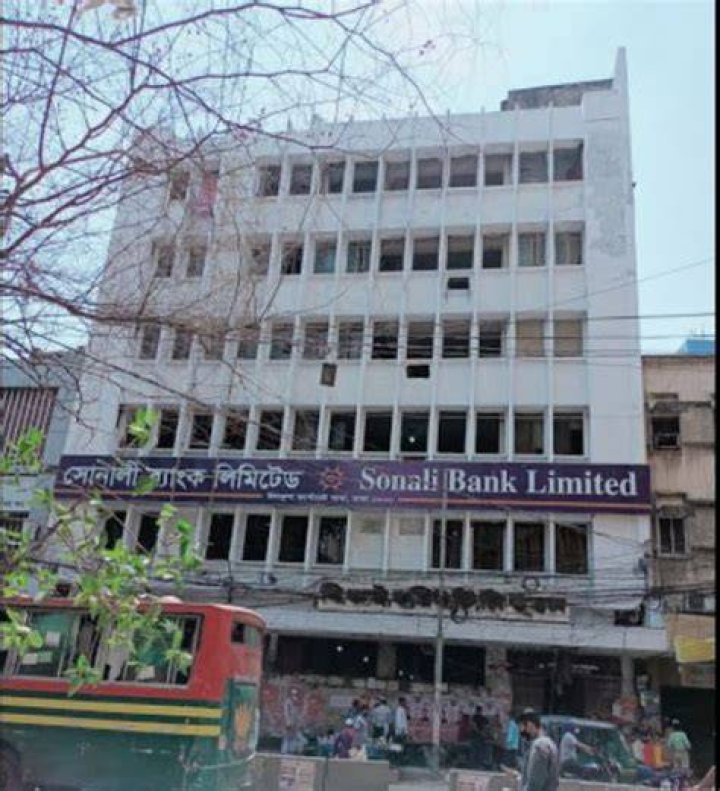 What kind of bank is Sonali Bank?
