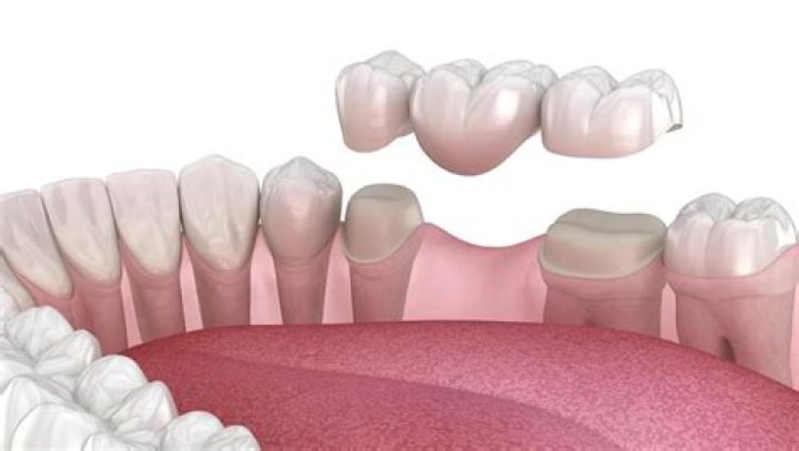 What majors fall under dentistry?