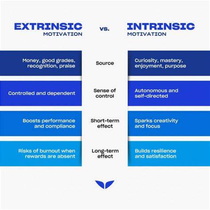 What motivates you intrinsically and extrinsically?