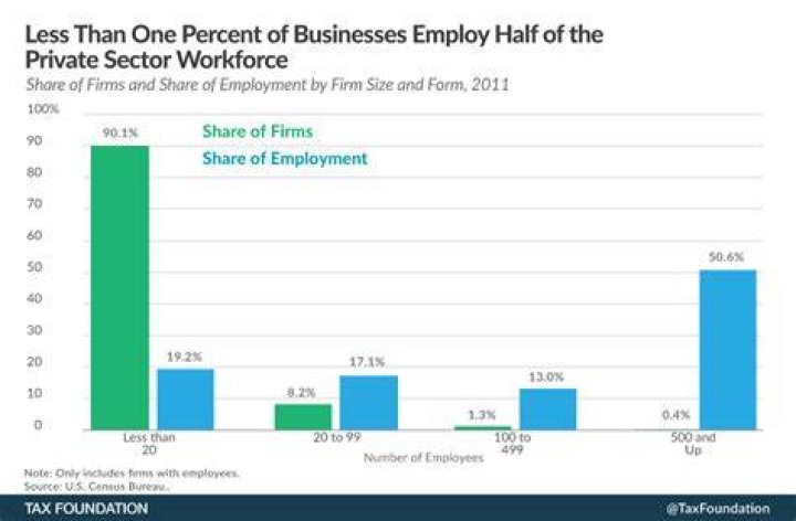 What percent of businesses are private?