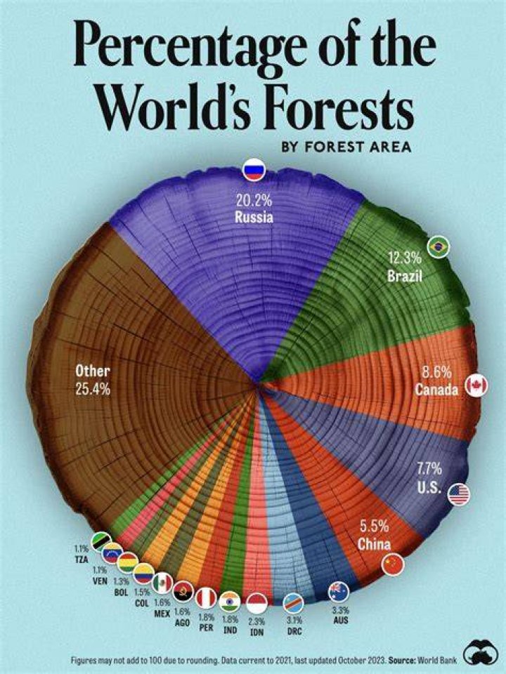 What percentage of the world is forest?