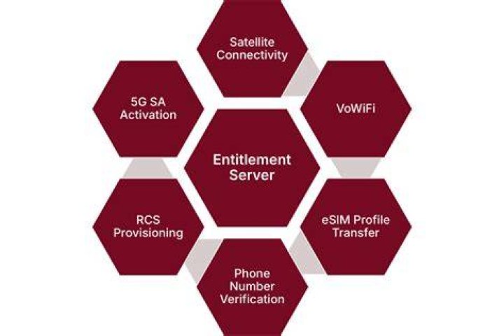 What purpose do functional entitlement groups serve during user profile setup US bank?