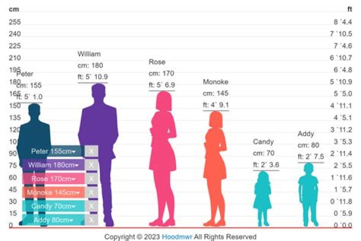 What size is 4ft in CM?
