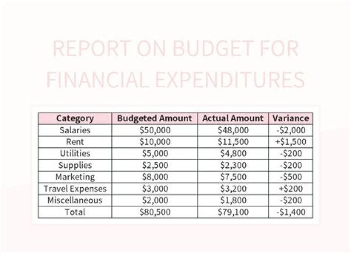 What types of data need to be included in financial budget?