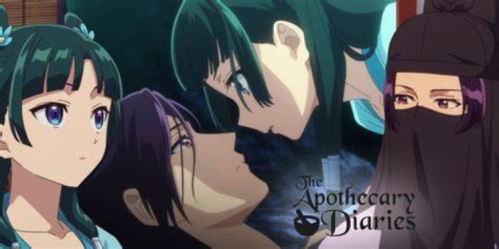 What was an apothecary what did they do?