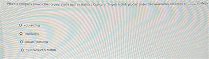 When a company allows other organizations such as Walmart Costco or Sears sell its product under their own names it is called a?