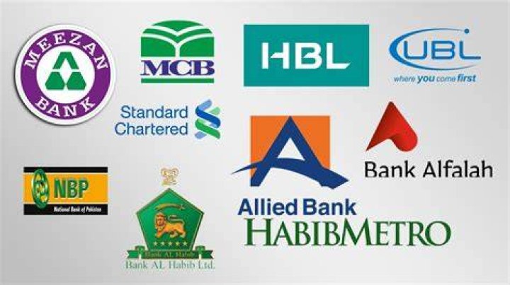 Which banks are Government owned in Pakistan?