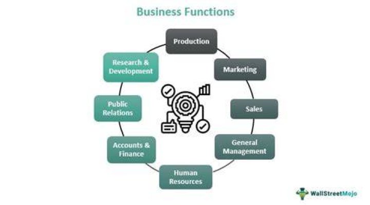 Which systems are responsible for supporting business activities for different business functions?