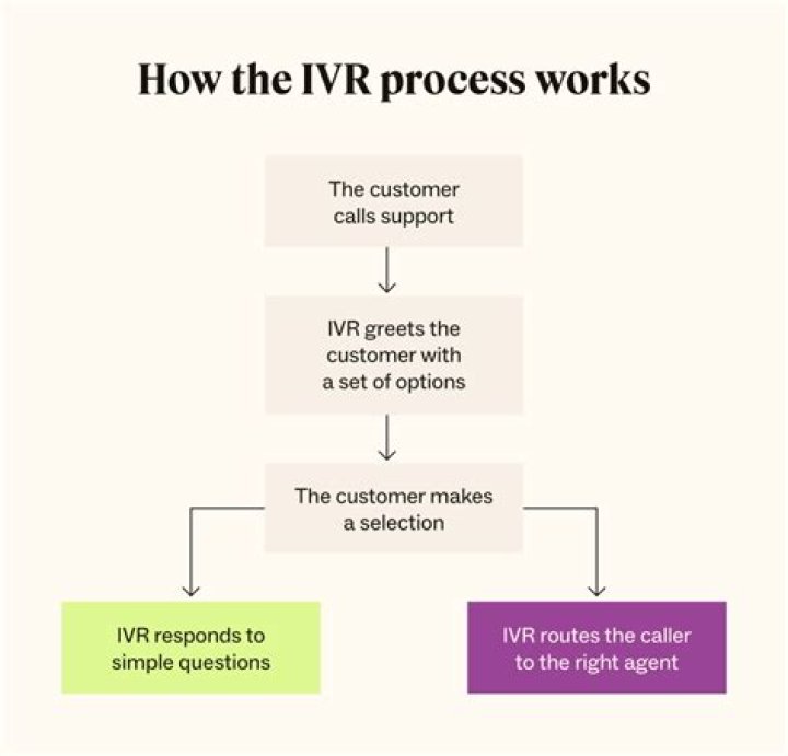Who has the best IVR?