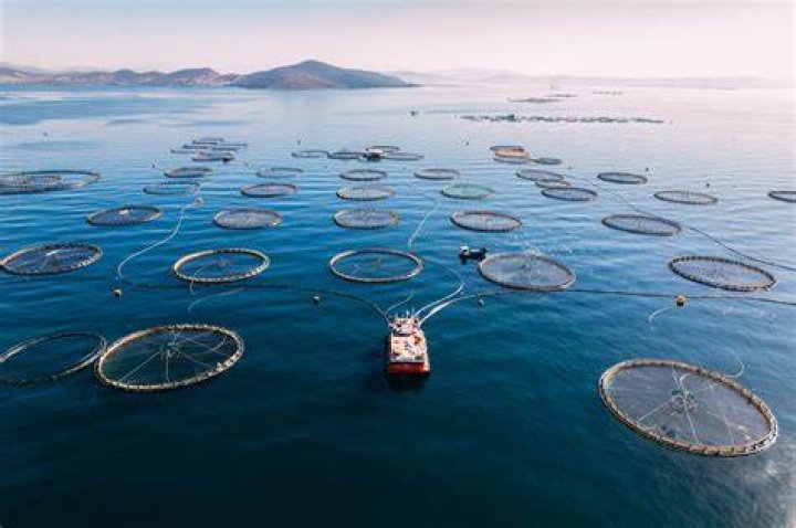 Who is the leading producer in fishing industry?