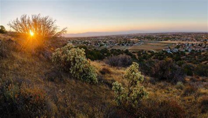 Who is the representative of Palmdale California?
