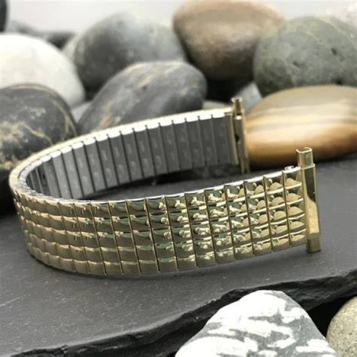 Who owns Speidel watch?