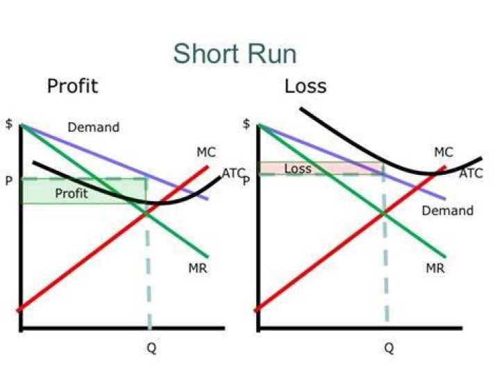 Why are firms willing to accept losses in the short run but not in the long run?
