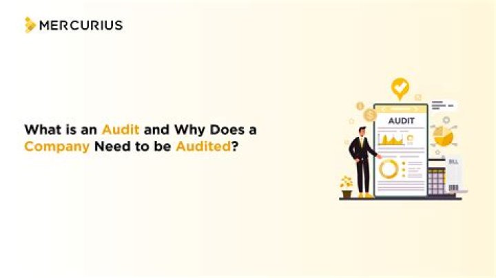 Why does the company need to be audited?