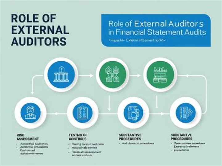 Why internal and external auditors are needed in an organization?