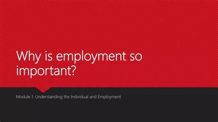 Why is employment important to an individual?
