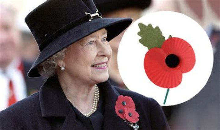 Why is everyone wearing a red poppy?