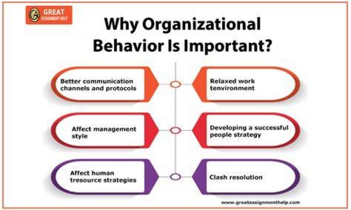Why is it important for managers to understand organizational behavior?