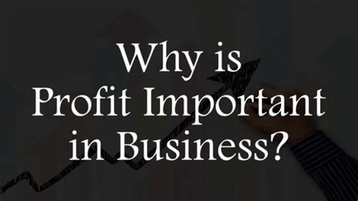 Why is profit important in a business essay?