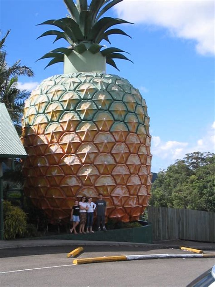 Why is the big pineapple there?