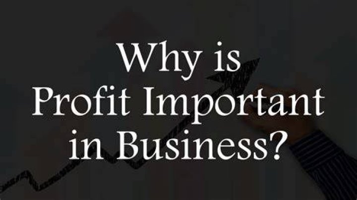 Why profit is important in the business?